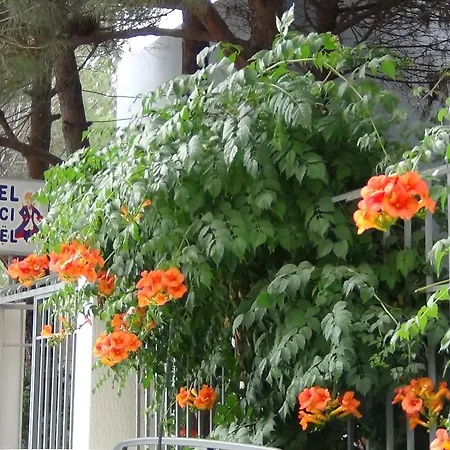 Princi I Vogel Hotel 3*