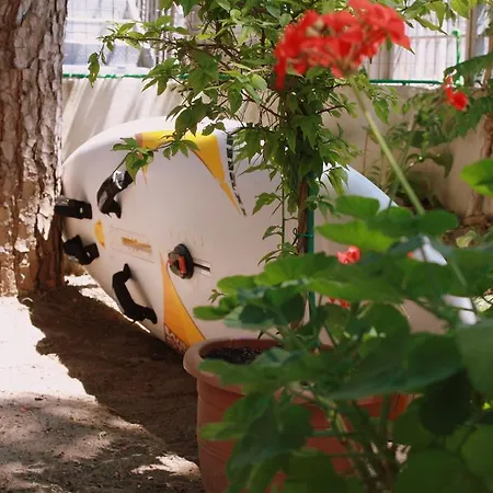 Princi I Vogel Hotel