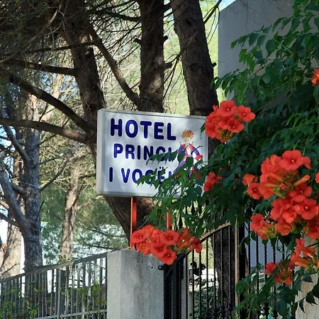 Hotel Princi I Vogel