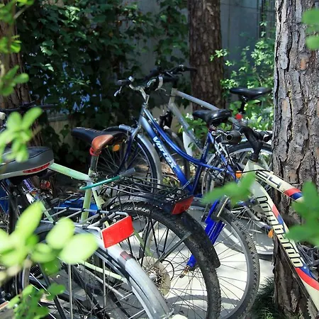 Princi I Vogel Hotel Velipoje