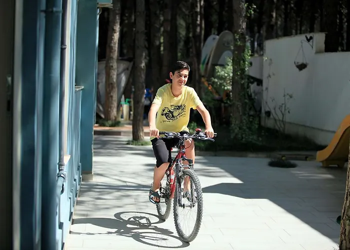 Princi I Vogel Velipoja